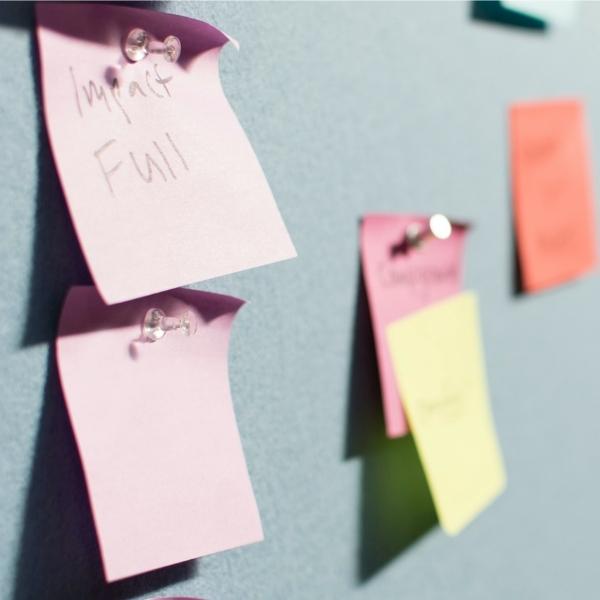 What is your Social Impact?